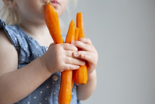 Vegetarisch oder vegan?
