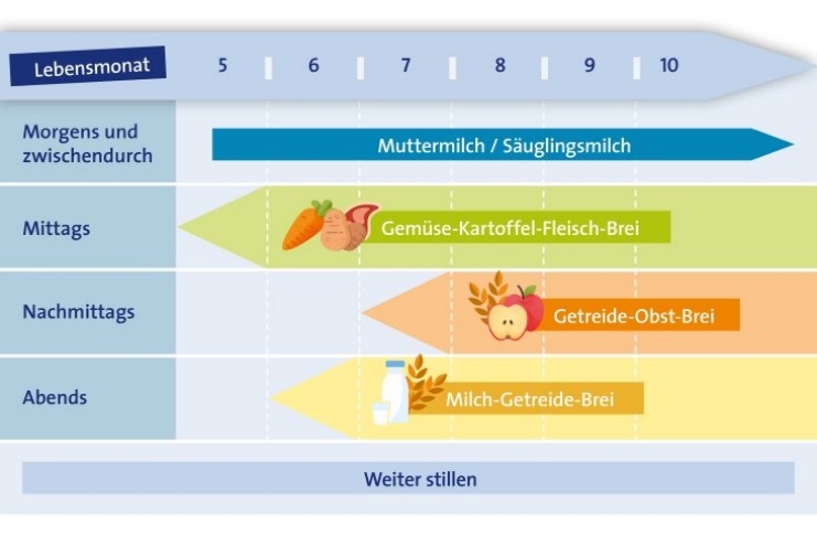 brei-fahrplan