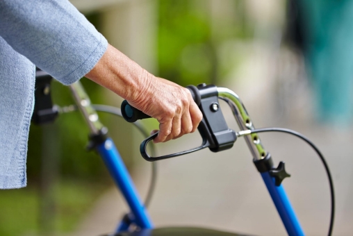 Rollator
