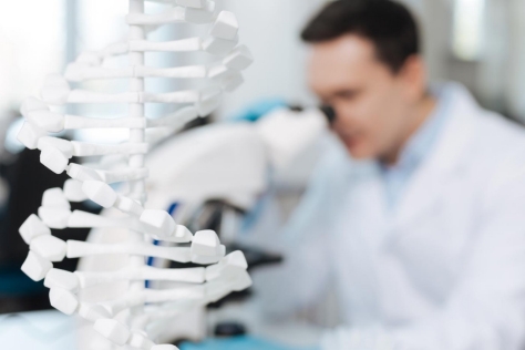 Moluekulare Diagnostik