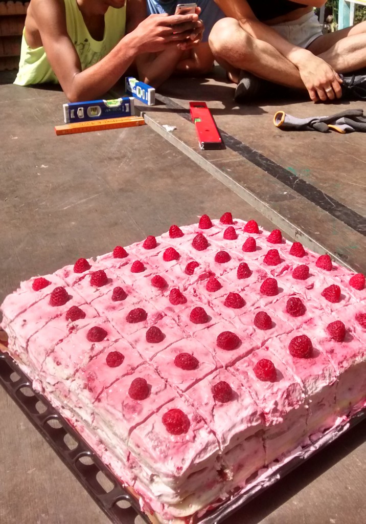 Himbeerbiskuitkuchen