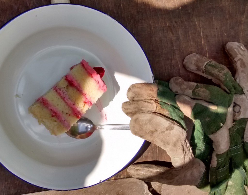 Himbeerbiskuitkuchen