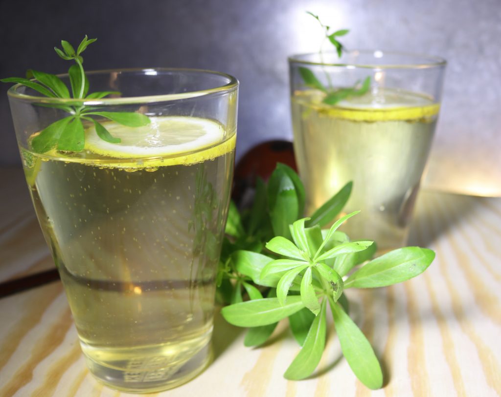Maibowle in zwei Gläsern, mit frischem Waldmeister dekoriert.