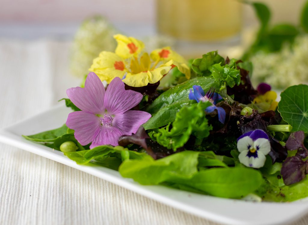Malve, Kapuzinerkresse, Borretsch und Hornveilchen und darüber ein Dressing mit Holunderessig