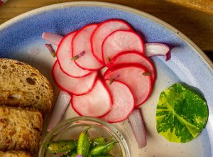 Pickeld Radieschen mit Lavendel