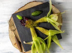 Sommerlich frisch, mit einem Hauch von Herbst