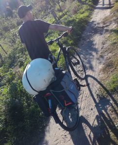 Ich und der Pilztransport