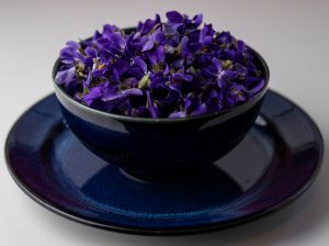 Veilchenblüten, essbare Blumen für den Duftessig
