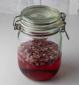 Nach ca. 2 Wochen Ziehzeit