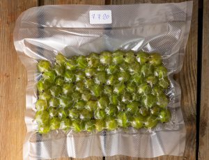 Frisch mit Salz verschweißt, bereit für die Fermentation