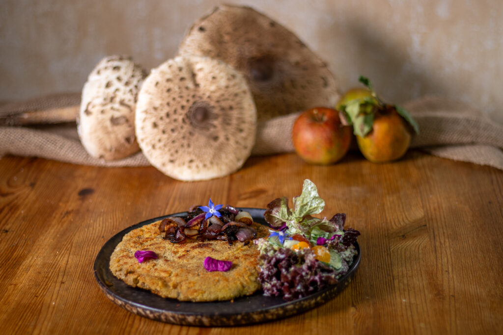 Parasolschnitzel mit Salat und karamellisierten, roten Zwiebeln