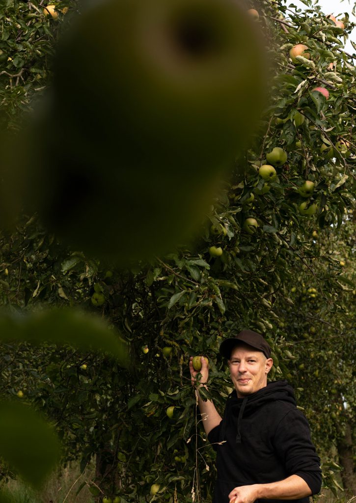 Sean Moxie bei der Ernte auf einer alten Streuobstwiese