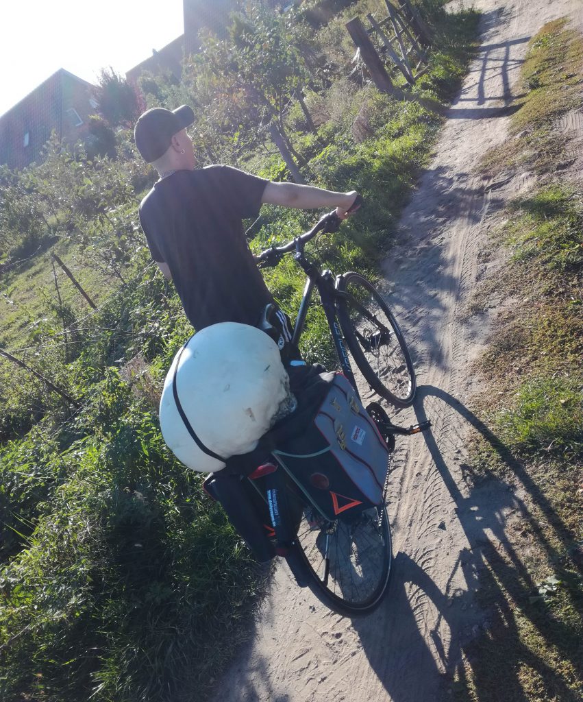 Mit so einem Pilz im Gepäck sind einem seltsame Blicke sicher...