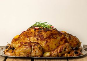 Eine vegane Gans für die Sendung Neuneinhalb auf ARD, WDR und Kika
