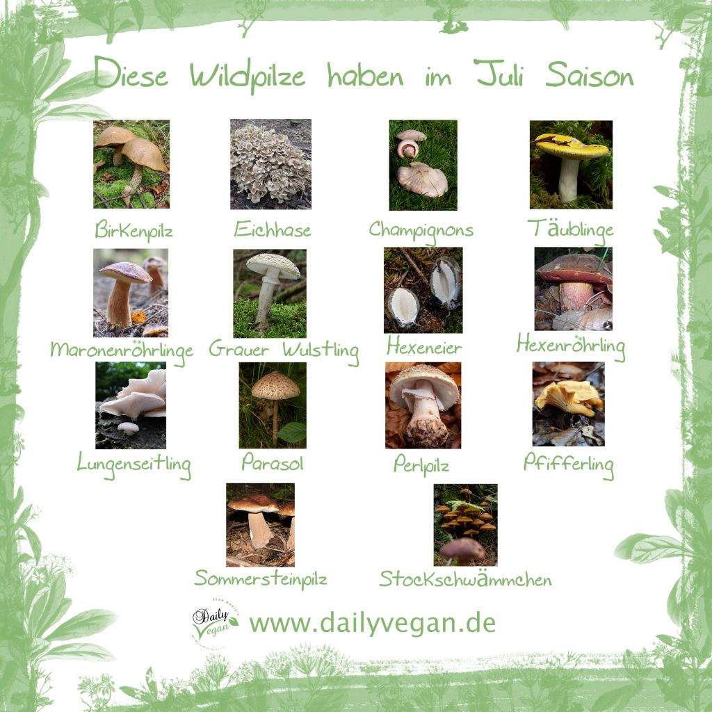 Infografik: Saisonale Wildpilze im Juli