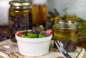 Essigpilze auf knackigem, frischen Salat