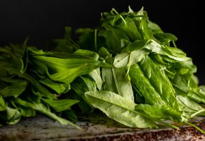 Sauerampfer und Spitzwegerich