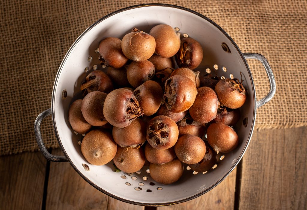 Frische Mispeln nach dem Frosten, jetzt sind sie süß und weich