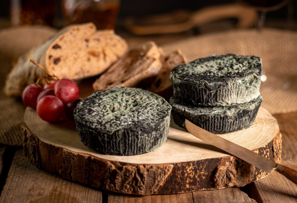 Veganer, selbstgemachter Blauschimmelkäse - vollständig gereift