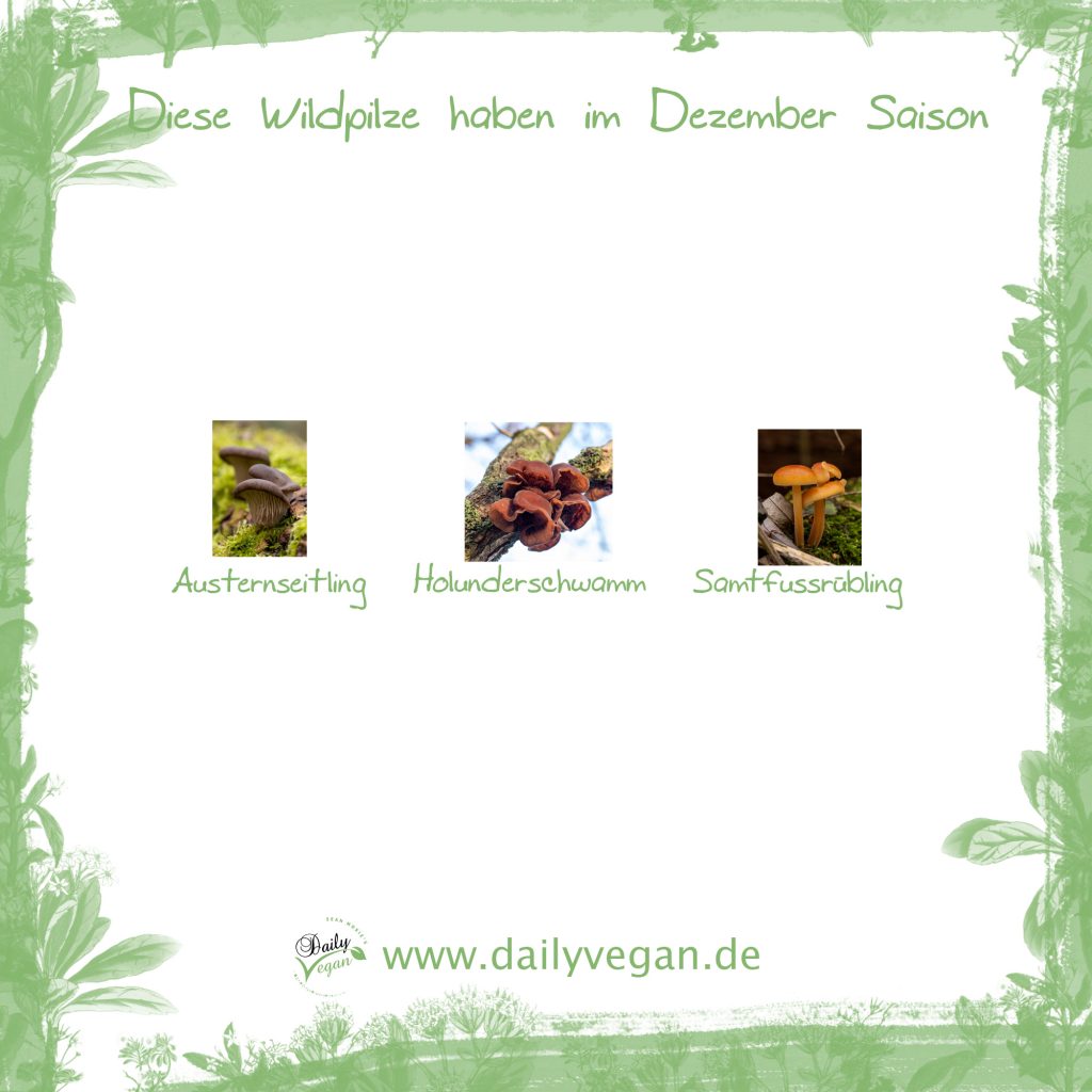 Saisonale Wildpilze im Dezember