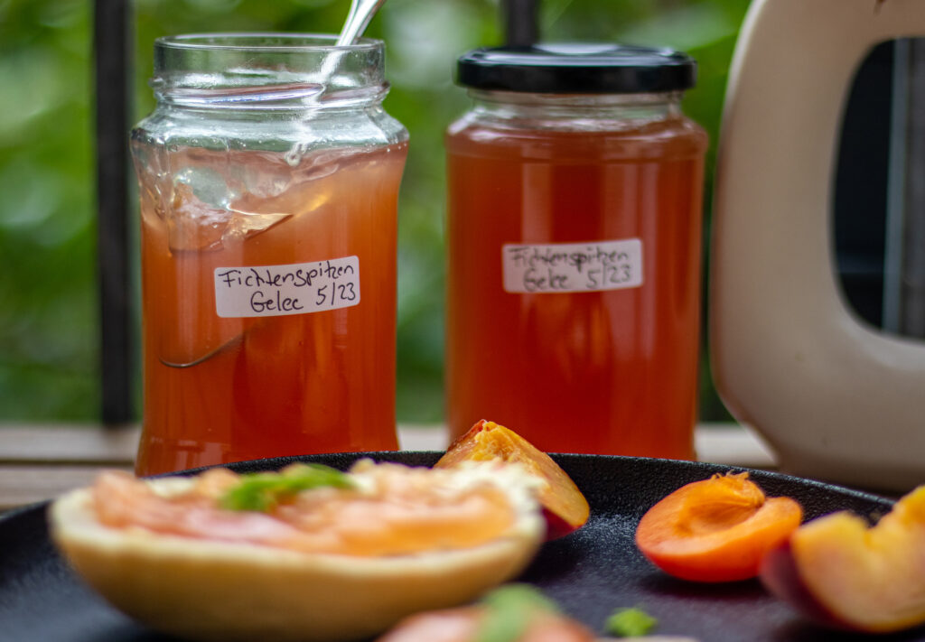 Frisch eingekochtes Fichtenspitzengelee im Glas