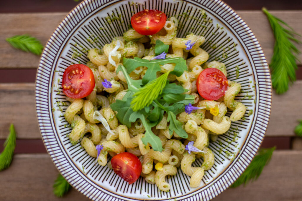 Pasta mit Fichtenspitzenpesto