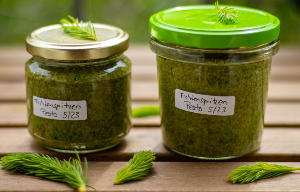 Fichtenspitzenpesto, frisch abgefüllt in Schraubgläsern