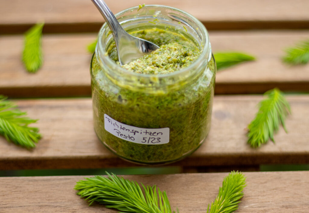 Fichtenspitzenpesto im Glas