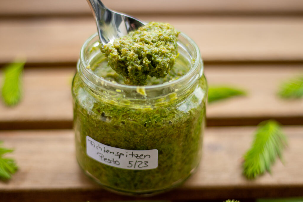 Fichtenspitzenpesto