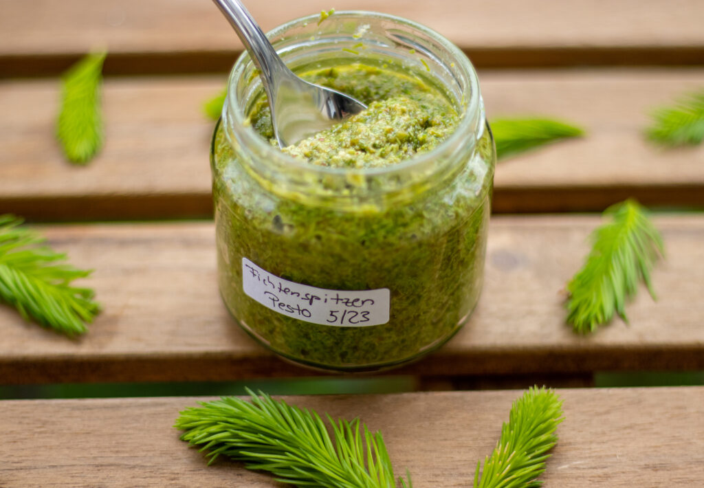 Fichtenspitzenpesto