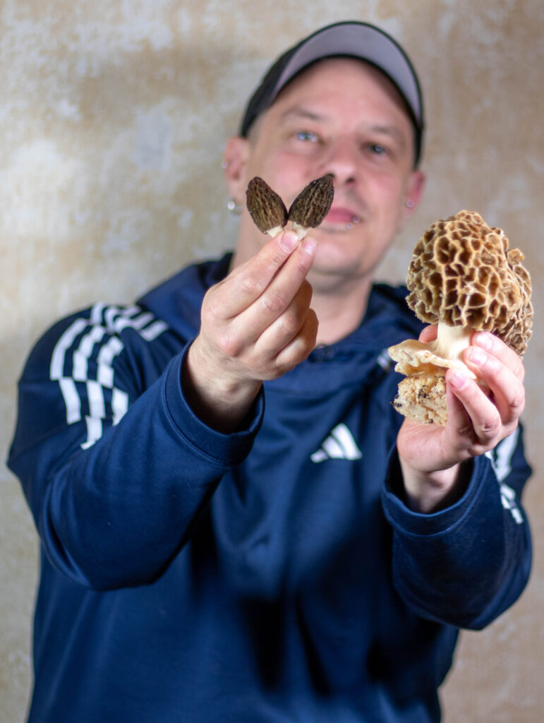 Sean Moxie mit Spitzmorcheln und Speisemorcheln