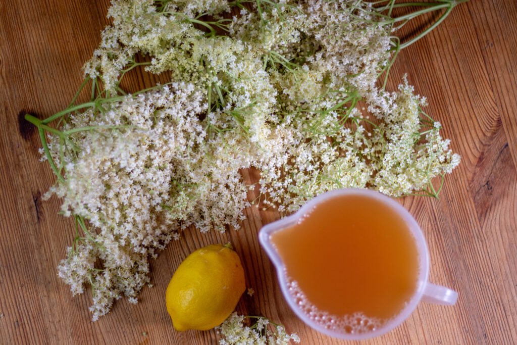 1. Zuerst wird naturtrüber Apfelsaft mit Holunder und Zitrone aromatisiert.