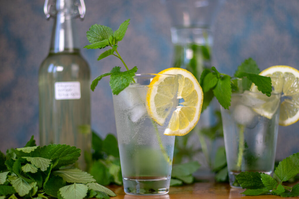 Hausgemachte Zitronenmelissen-Limonade, einfach mit Zitronenmelisse-Sirup, kaltem Sprudelwasser, Eiswürfeln, einer Scheibe Zitrone und einem Stängel frischer Zitronenmelisse.