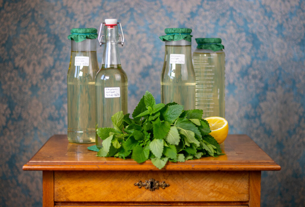 Mit Zitronenmelisse-Sirup den Geschmack der Zitronenmelisse das ganze Jahr haltbar machen