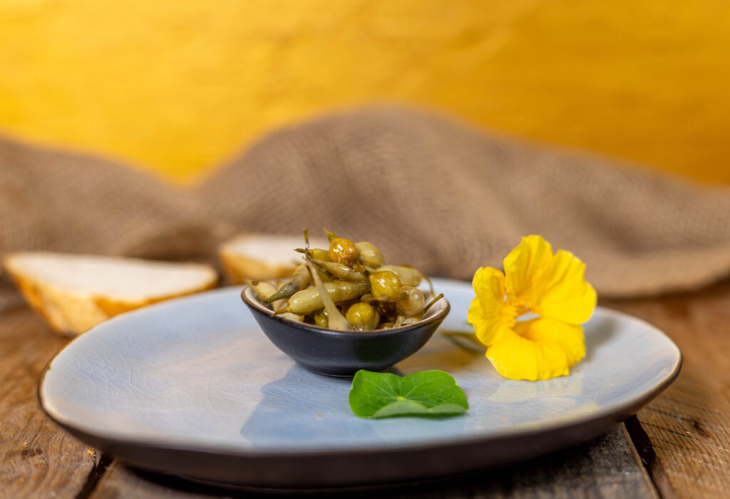 Radieschenschoten Pickles: ein aromatischer Knaller; aus den Schoten ausgetriebener Radieschenpflanzen.