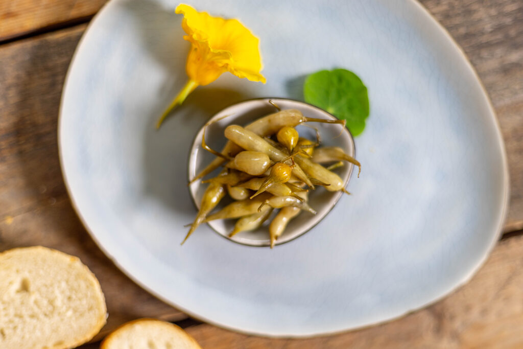 Radieschenschoten Pickles - eine aromatische Überraschung