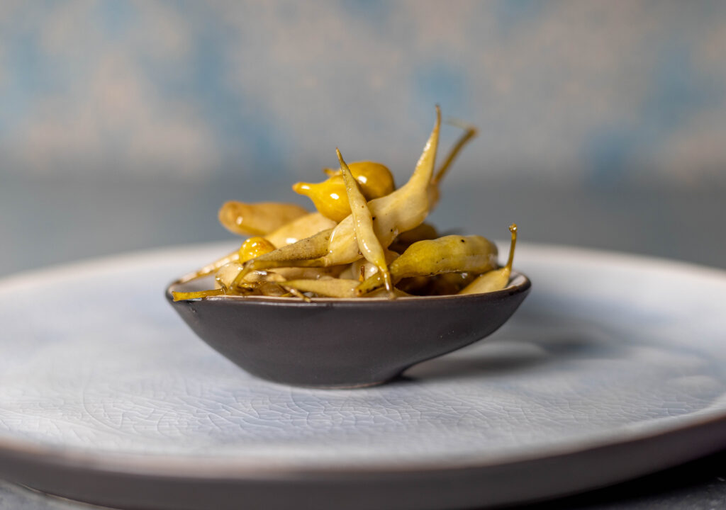 Radieschenschoten Pickles sind wunderbar aromatisch, sie sehen gut aus und man kann sie vielseitig nutzen.