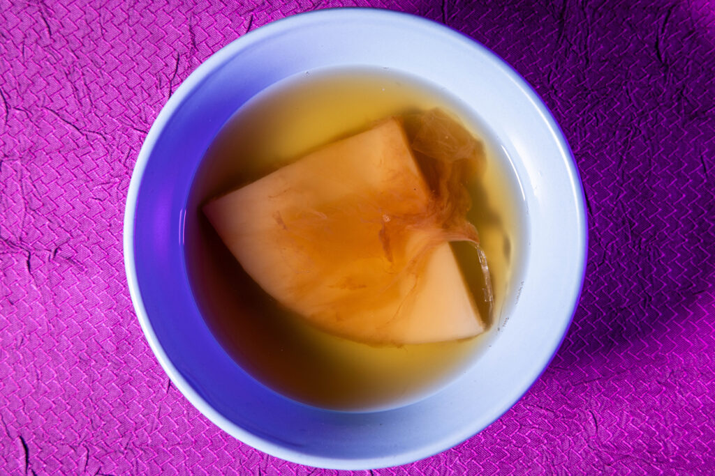 Scoby (Kombuchapilz) in seiner Ansatzflüssigkeit.
