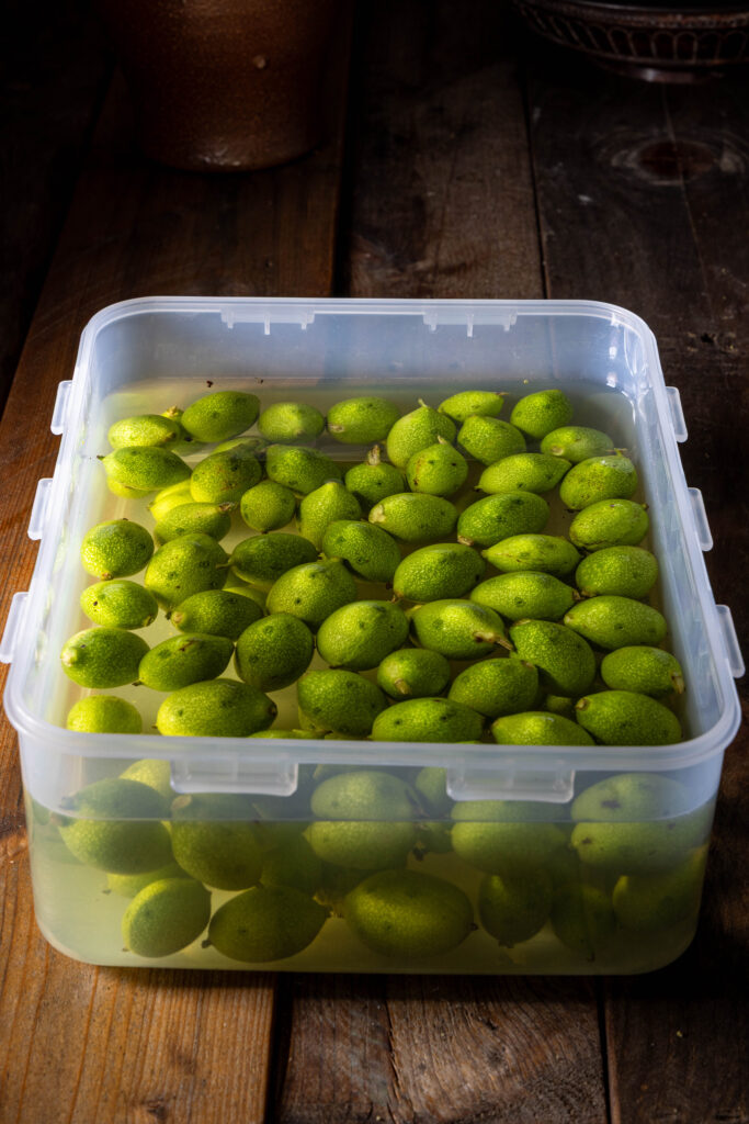 Grüne, unreife Walnüsse in einer Schale mit Wasser.