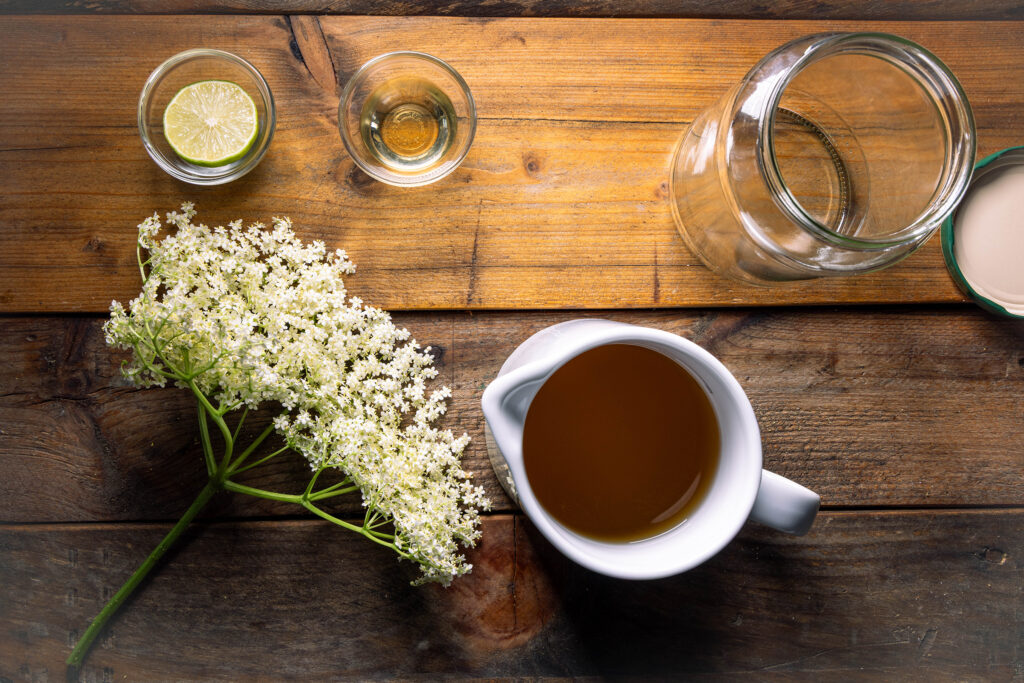 Alles was Du für die Zweitfermentation brauchst: Kombucha, Holunderblüte, Holundersirup und Limette.