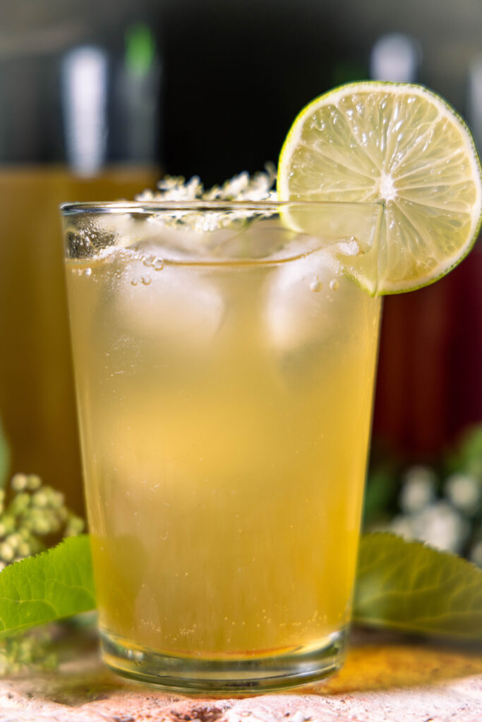 Holunder-Kombucha - zweitfermentierte, duftende Brause in einem Glaas, mit Holunderblüten und Limettenscheibe