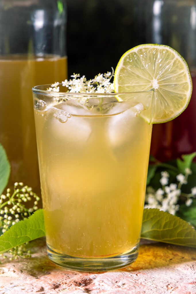 Holunder-Kombucha - zweitfermentierte, duftende Brause