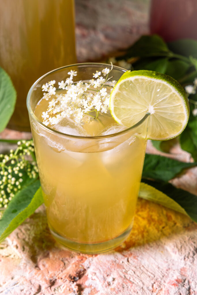 Holunder-Kombucha - zweitfermentierte, duftende Brause in einem Glaas, mit Holunderblüten und Limettenscheibe garniert. Dahinter Flaschen mit Kombucha.