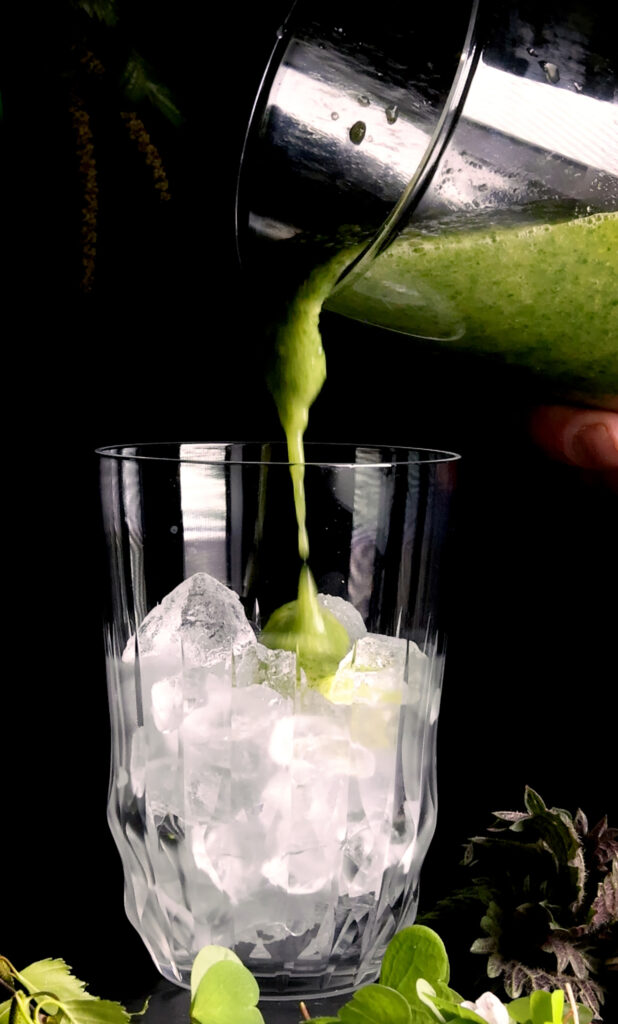 Wildkräuter-Smoothie mit jungen Birkenblättern