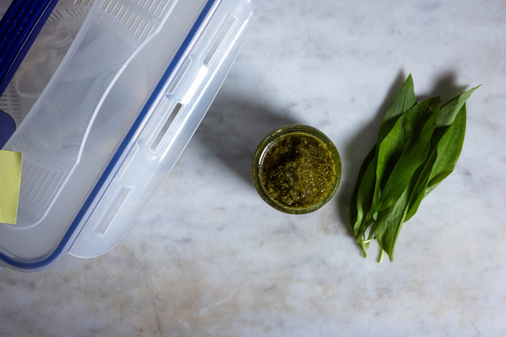 Bärlauchpesto und frischer Bärlauch.
